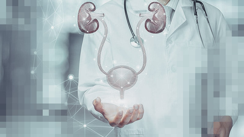 urologia